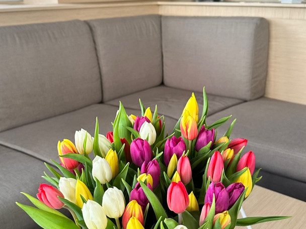 Charter a Fountaine Pajot Fountaine Pajot Samana 59 - 6 + 2 cab in Procida on Samboat