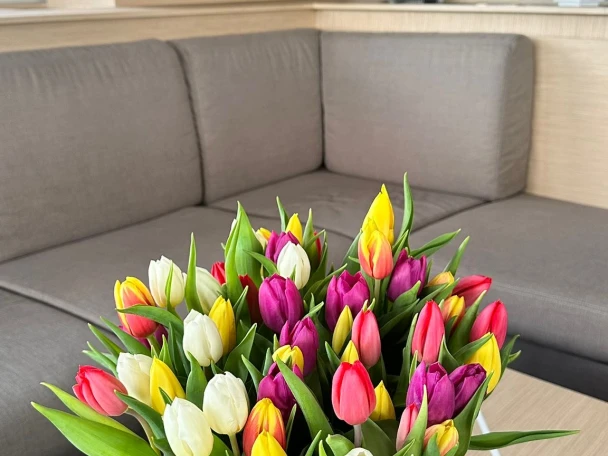 Charter a Fountaine Pajot Fountaine Pajot Samana 59 - 6 + 2 cab in Procida on Samboat