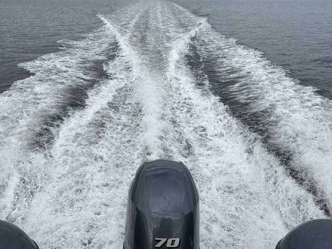 Hire a B2 Marine Cap Ferret 500 Martigues