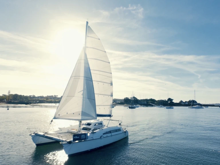 Yacht charter Baden - Edel Edel Cat 33 on SamBoat