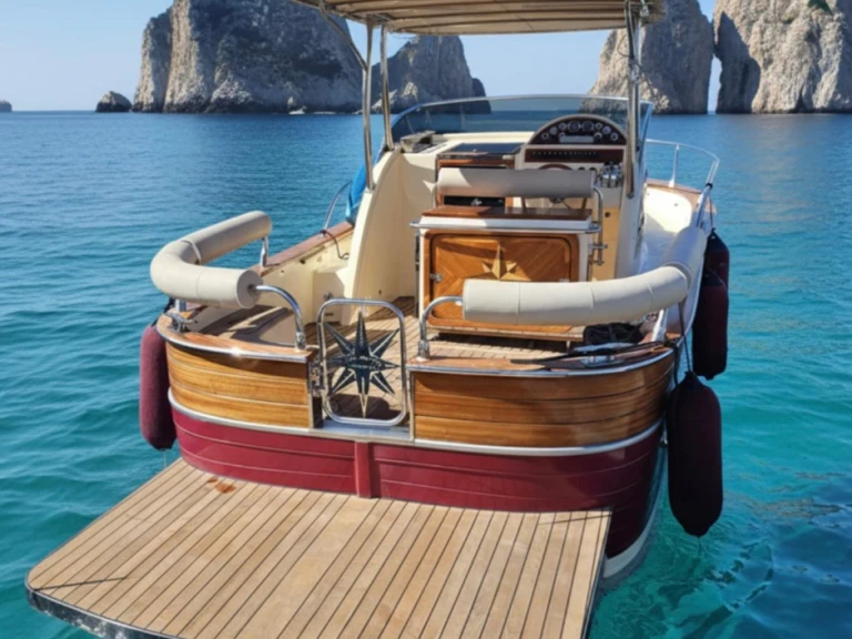 Hire Motorboat with or without skipper viveur Capri