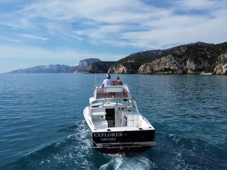 Hire Motorboat Bertram with a boat licence