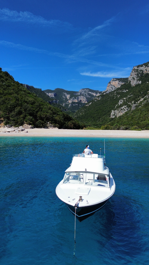 Bertram Bertram 25 charter bareboat or skippered in  Orosei