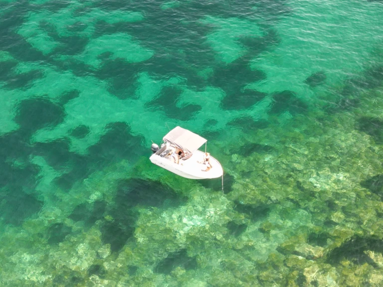 Motorboat hire in Mandelieu-la-Napoule - Pacific Craft Pacific Craft 545 Open