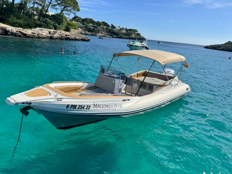 RIB to hire Cala d'Or at the best price