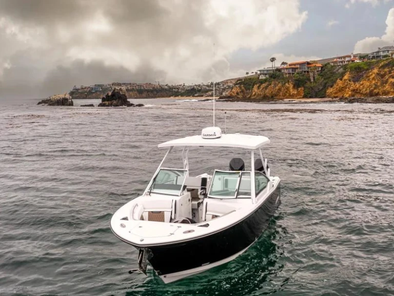 Charter a Blackfin 272 DC  in West Palm Beach on Samboat