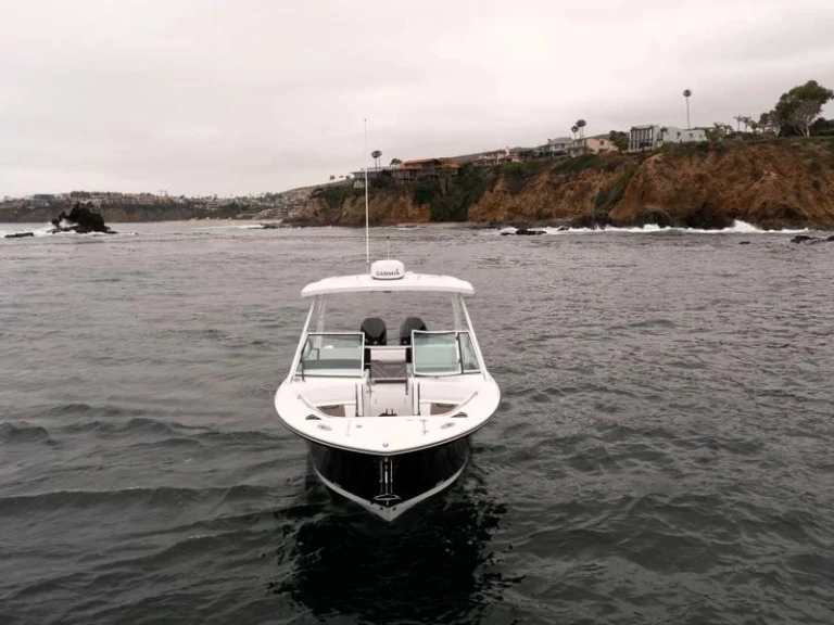 Hire Motorboat with or without skipper Blackfin West Palm Beach