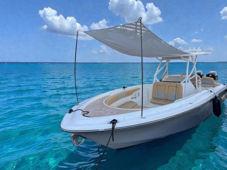Hire a Pronautica 880 Open Sport Port d'Alcudia