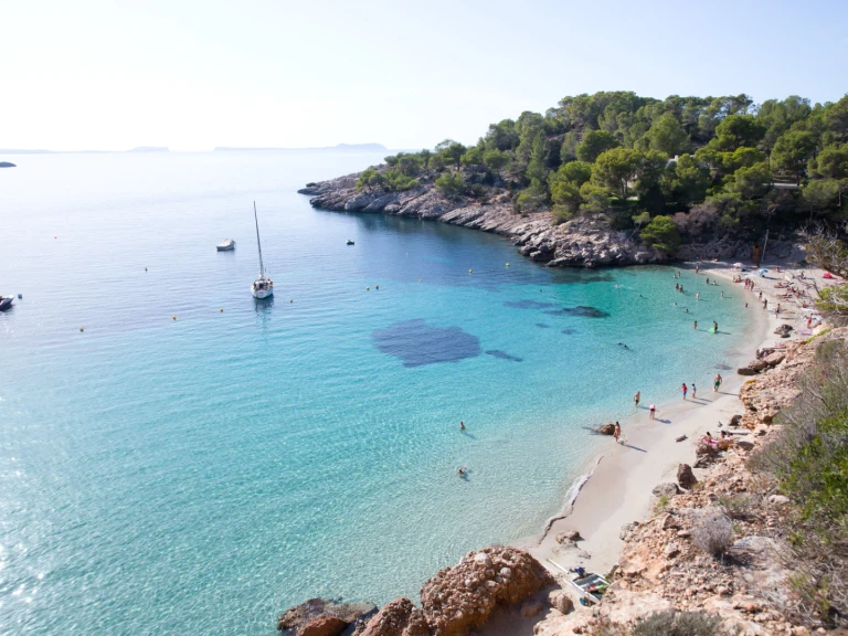 Hire a Chaparral 246 Sant Antoni de Portmany