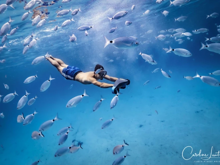 Yacht charter Porto-Vecchio - Lomac Lomac 540 IN on SamBoat