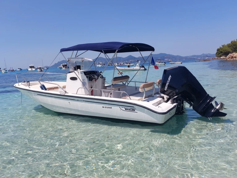 Yacht hire Port de la Rague cheap Boston Whaler 220 Dauntless