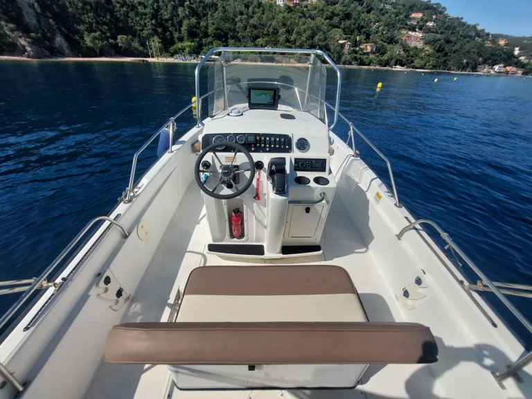 Charter a Boston Whaler Boston Whaler 220 Dauntless in Port de la Rague on Samboat