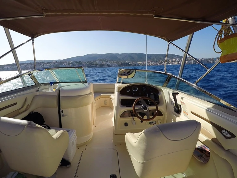 Motorboat hire in Santa Ponsa - Sea Ray Sea Ray 260