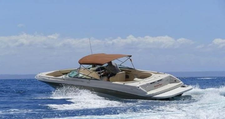 Sea Ray Sea Ray 260 charter bareboat or skippered in  Santa Ponsa