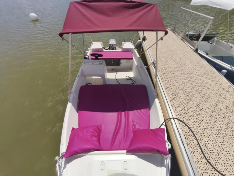 Hire Motorboat Naval plastica with a boat licence