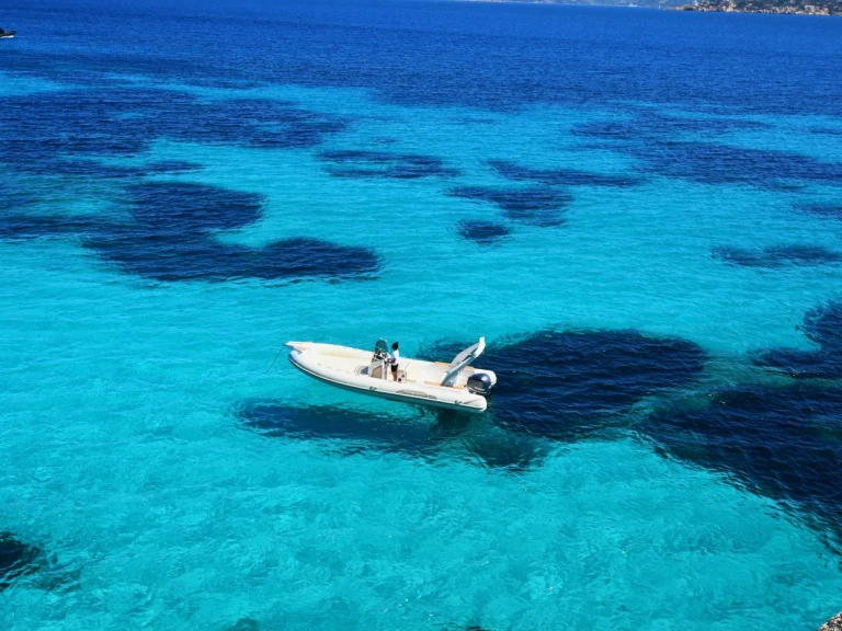 RIB hire in Palau - Capelli Tempest 770