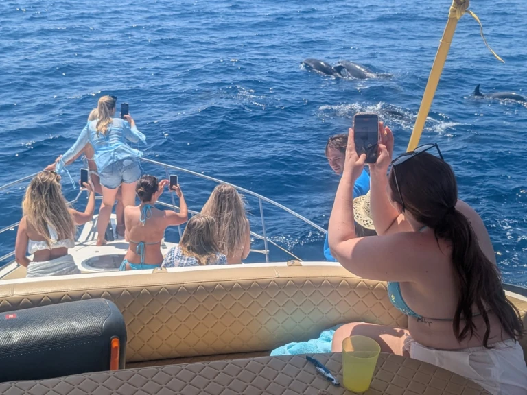 Doqueve Majestic charter bareboat or skippered in  Fuengirola