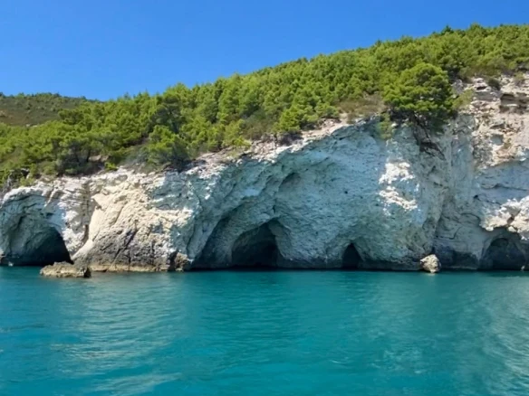 Charter a Bénéteau Cyclades 43.3 in Vieste on Samboat