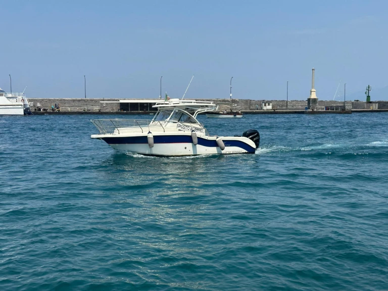 Hire Motorboat with or without skipper SEAGAME Capri