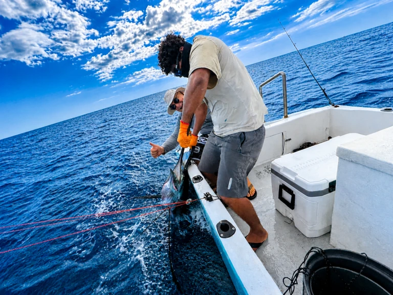 Hire Motorboat with or without skipper Custom Made Bahía Culebra