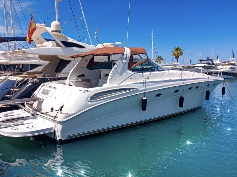 Hire Motorboat with or without skipper Sea Ray Port de Pollença