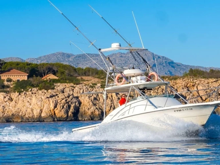 Motorboat to hire Port de Pollença at the best price