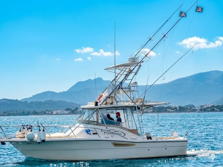 Yacht hire Port de Pollença cheap 3100 open
