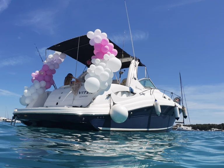 Hire Motorboat Sea Ray with a boat licence