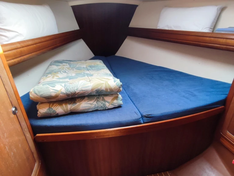 Yacht charter Puerto Altea - Bavaria Bavaria 37 Cruiser on SamBoat