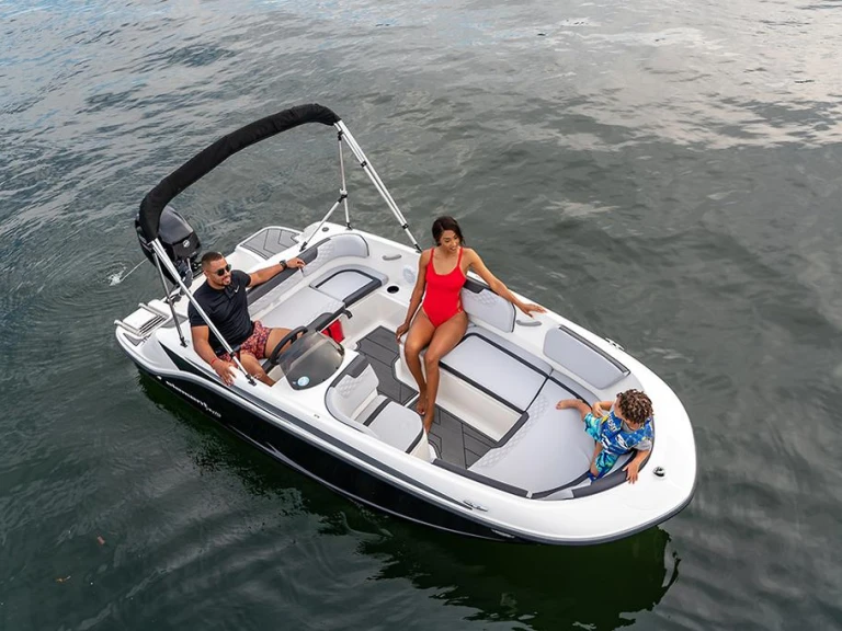 Hire a Bayliner ELEMENT M15 Sanguinet