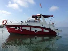 Hire Motorboat Lexsia with a boat licence