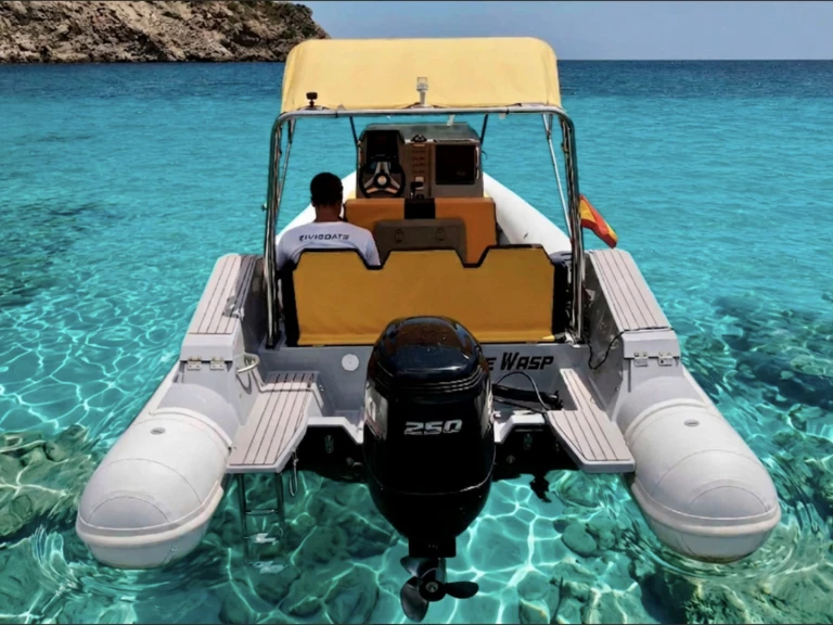 RIB hire in Santa Eulària des Riu - Avila Tuono TYPE 7