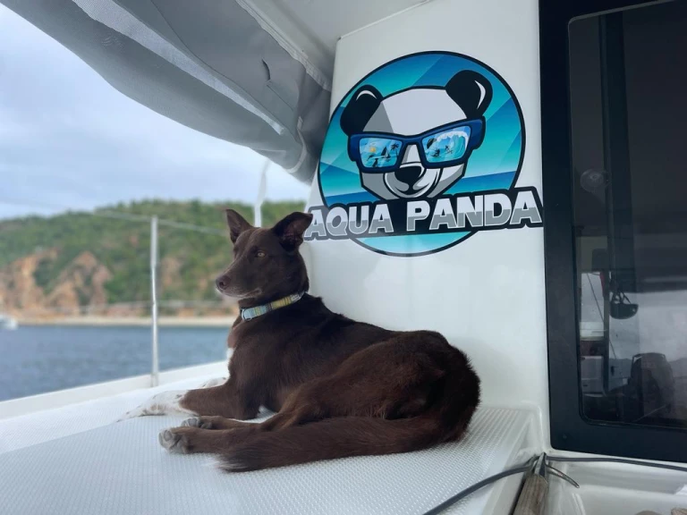 Catamaran hire in Tortola - Fountaine Pajot Lucia 40