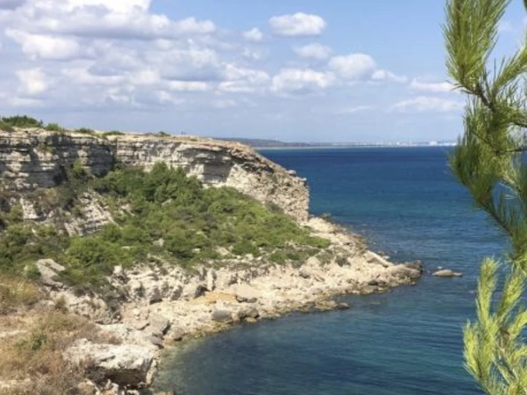 Motorboat to hire Le Barcarès at the best price