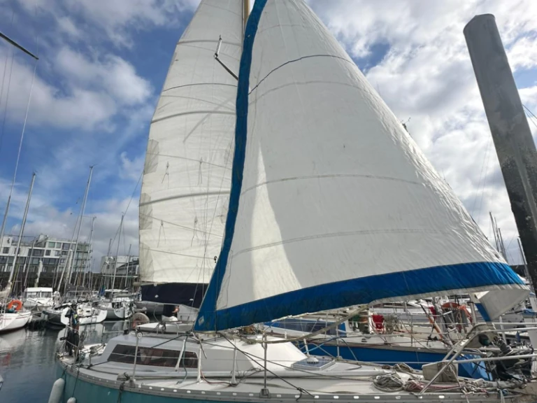 Charter a Jeanneau Brin de folie in Brest on Samboat