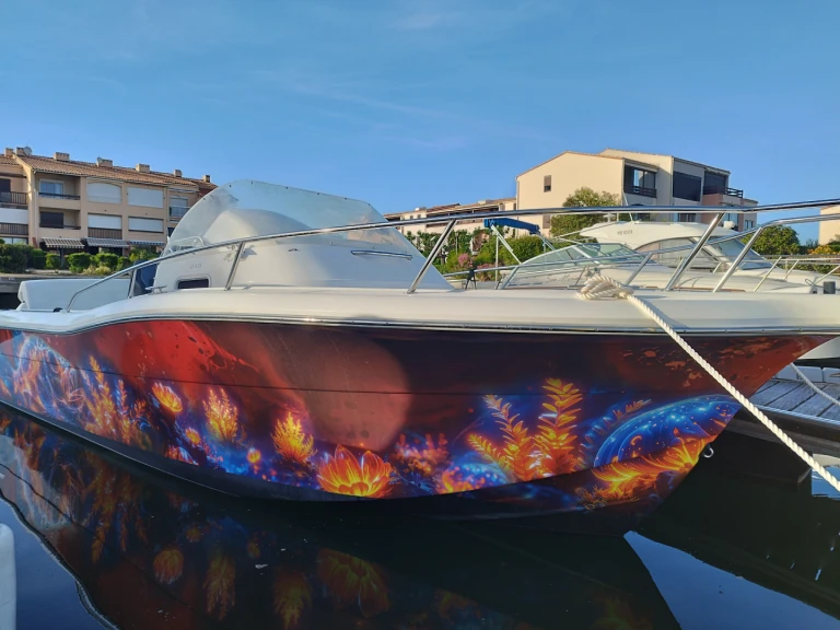 Hire a White Shark White Shark 248 Saint-Cyprien