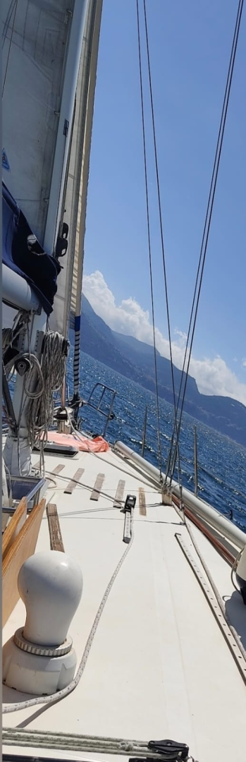 Yacht hire Porto di Torre del Greco cheap orca 43