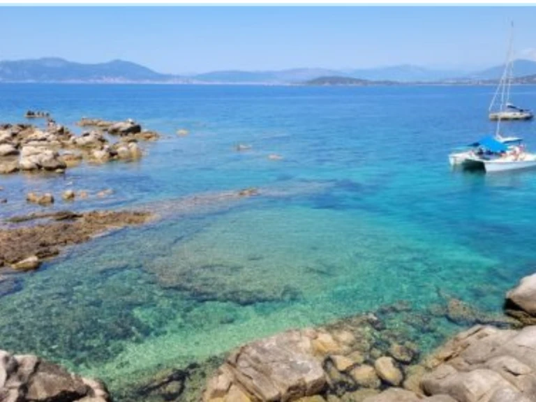 Catamaran to hire Ajaccio at the best price