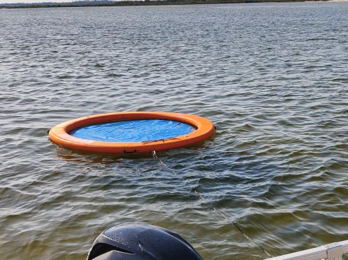 Sun Tracker Bass Buggy 18 charter bareboat or skippered in  Sanguinet