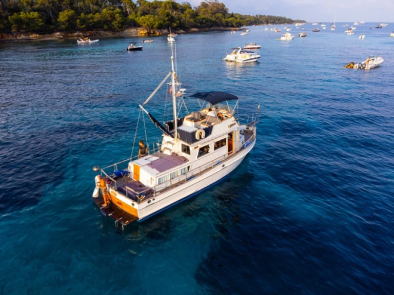 Motorboat hire in Cannes - Grand Banks Grand Banks 36 Classic
