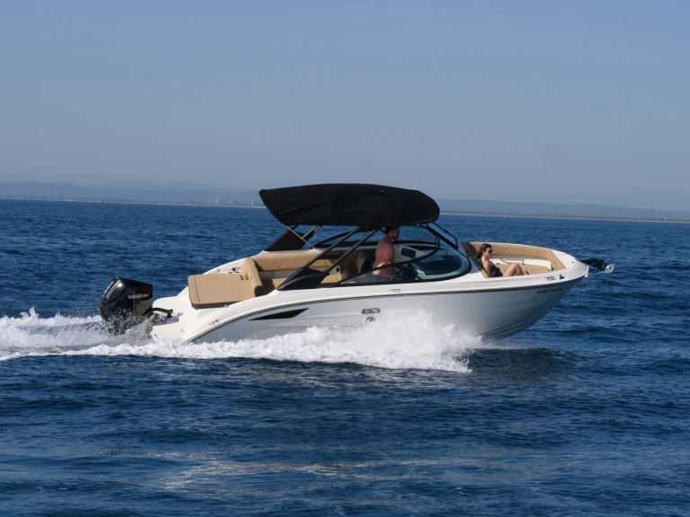 Hire Motorboat Sea Ray with a boat licence