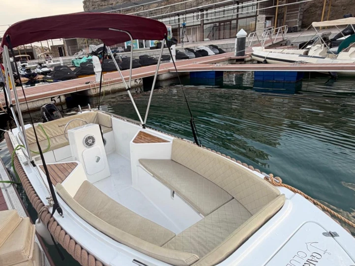Motorboat hire in Calp / Calpe - Silver yaths Silver 495