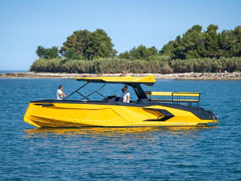 Hire Motorboat with or without skipper  Aalsmeer