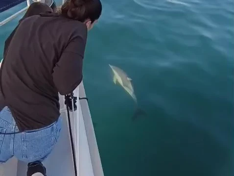 Hire a Hunter Hunter 41 Marbella