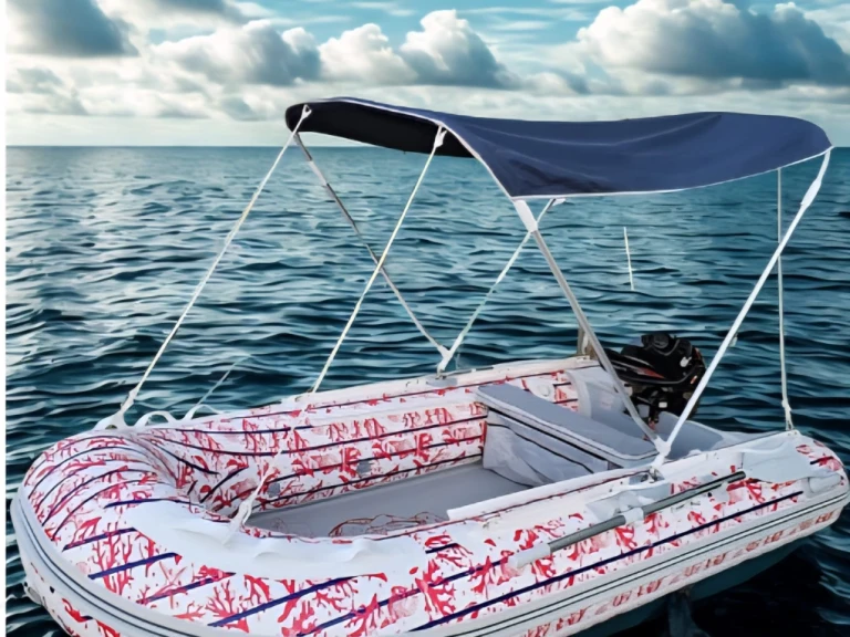 Yacht hire Le Brusc cheap RIB3