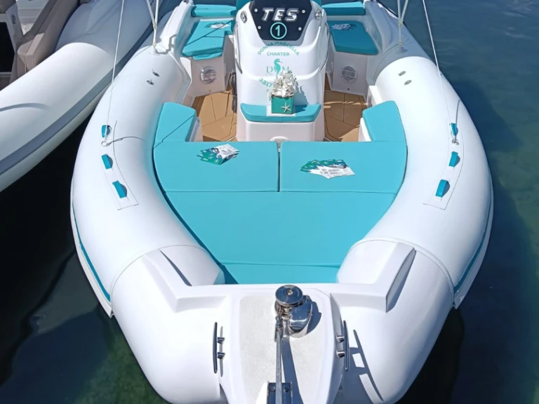 RIB hire in Pisciotta - Tes Marine Sport 
