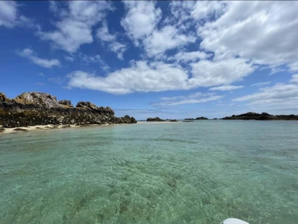 Yacht charter Ploubazlanec - Zodiac Pro 9 Man on SamBoat