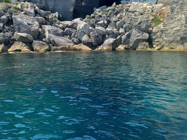 Yacht charter Marsala - Combac Shark  on SamBoat