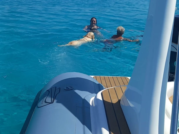 Yacht hire Marsala cheap Shark 