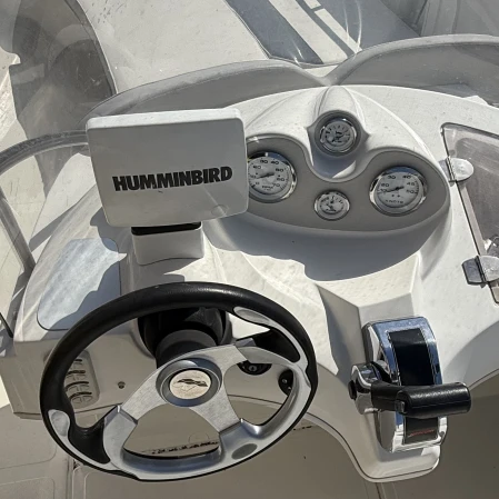 Hire Motorboat with or without skipper Quicksilver Amphion-les-Bains